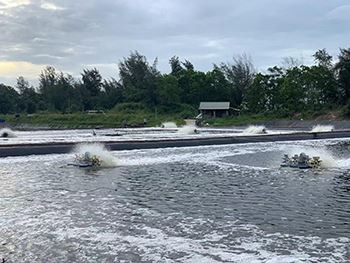 hdpe dam liner impermeable